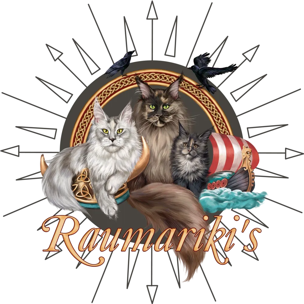 Logo Raumariki's Maine Coon Cattery